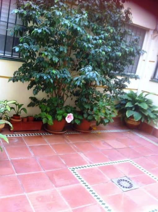 Apartamento Paola El Puerto de Santa Maria Luaran gambar